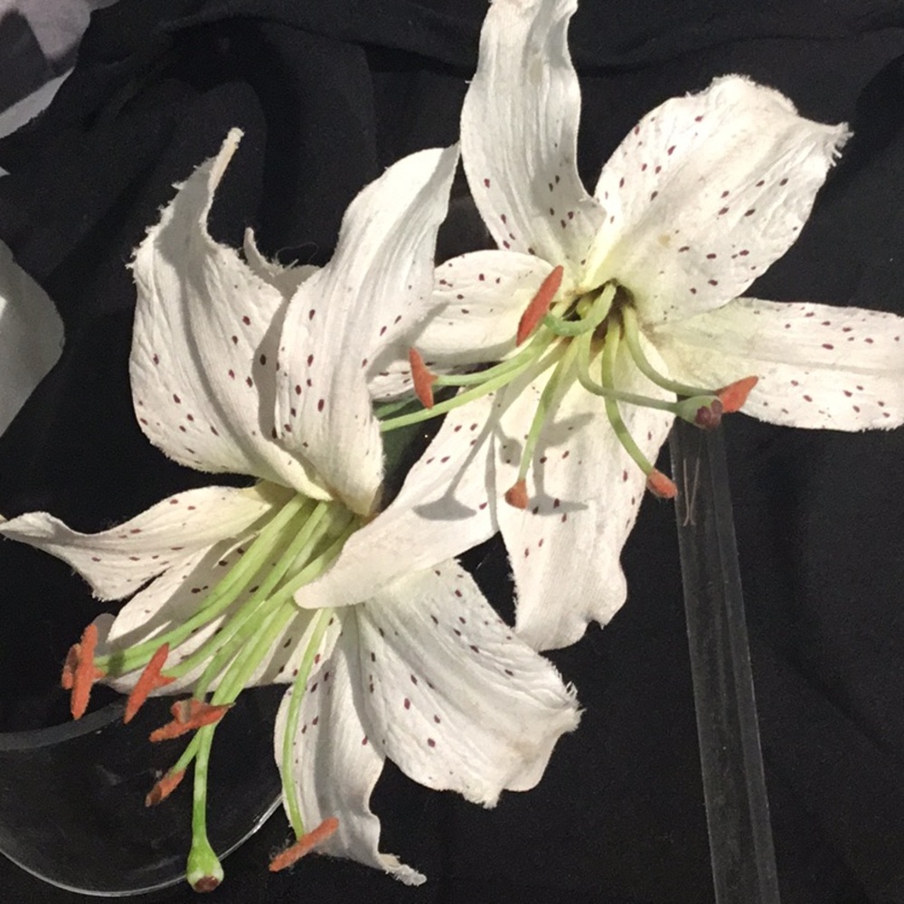 Karin’s Garden White Tiger Lily Hair Jaw, NEW.